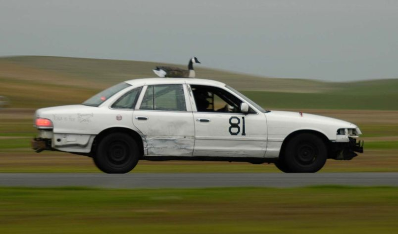 Illustration for article titled The Top 100 Lemons Of The 24 Hours Of LeMons Arse Freeze-A-Palooza